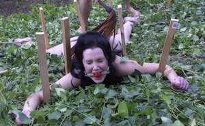 Paige Richards gets pinioned up and moreover spread undressed in the backyard