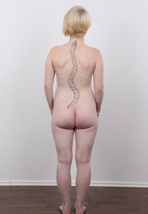 Pregnant Czech blonde earns on living by posing undressed in model agency